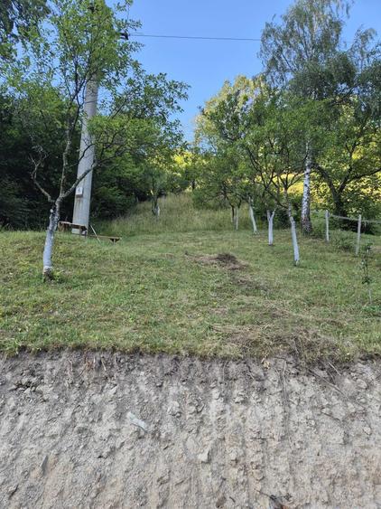 Teren de 800 mp, în Căpâlna