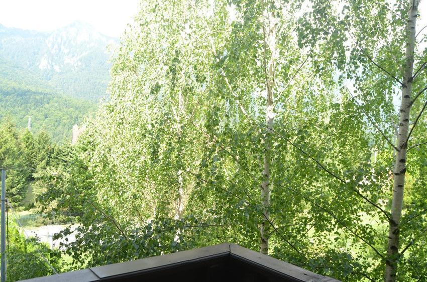 Apartament cu 2 camere decomandat în Piatra Arsă