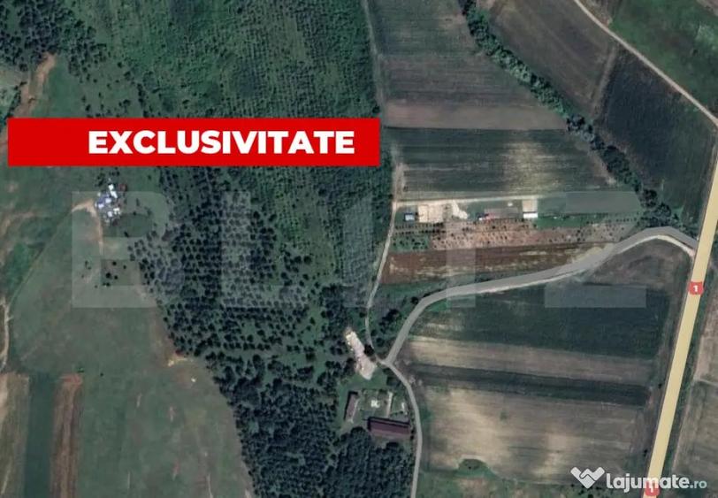Teren de 5996 mp, în Teiu