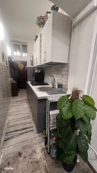 Apartament cu 2 camere în Boul Roșu
