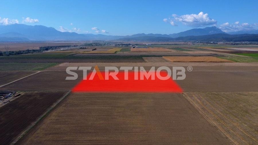 Teren agricol extravilan de 19739 mp, în Exterior Sud