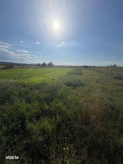 Teren de 2090 mp, în Central