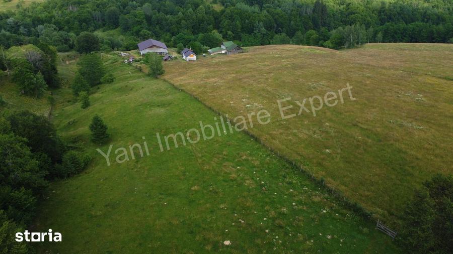 Teren de 55422 mp, în Bughea de Jos