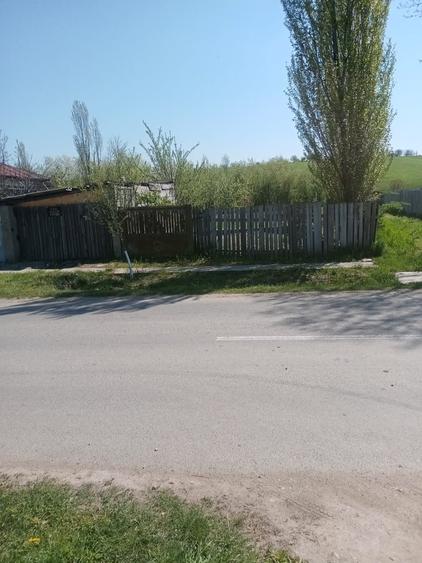 Teren de 700 mp, în Băcălești