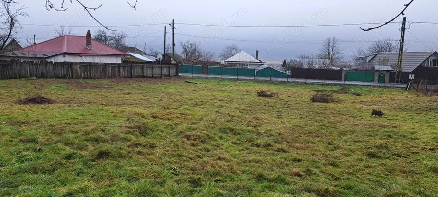 Teren de 1488 mp, în Secuia
