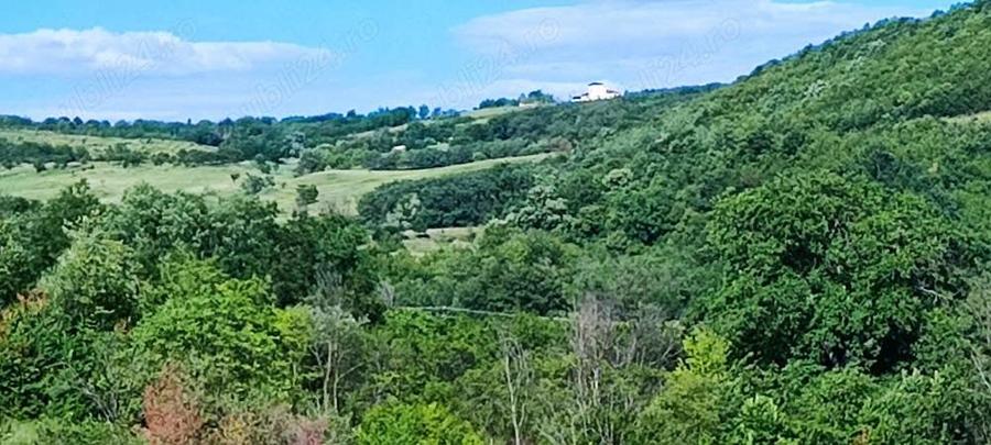 Teren de 5000 mp, în Boboci
