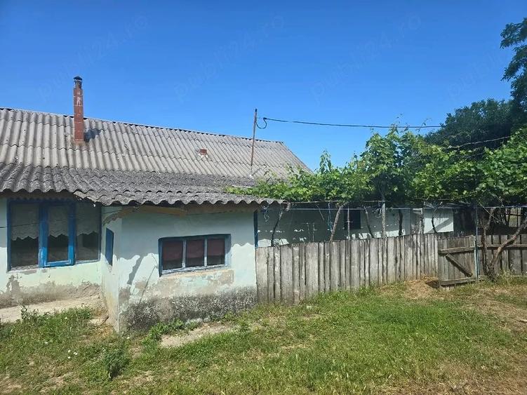 Casă cu Teren 3000 Mp în Dăeni