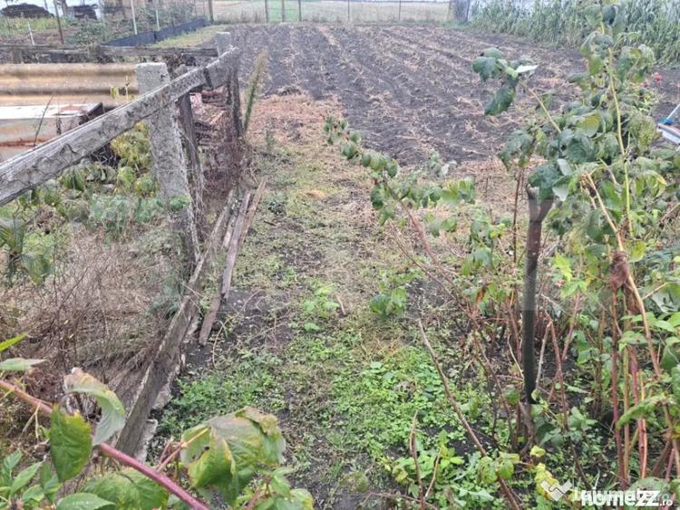 Casă cu 3 camere cu Teren 803 Mp în Hălchiu