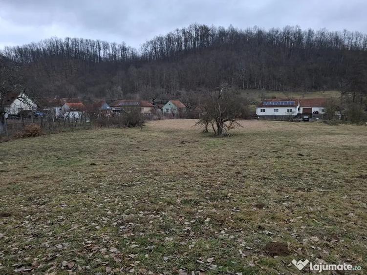 Teren de 3140 mp, în Petriș