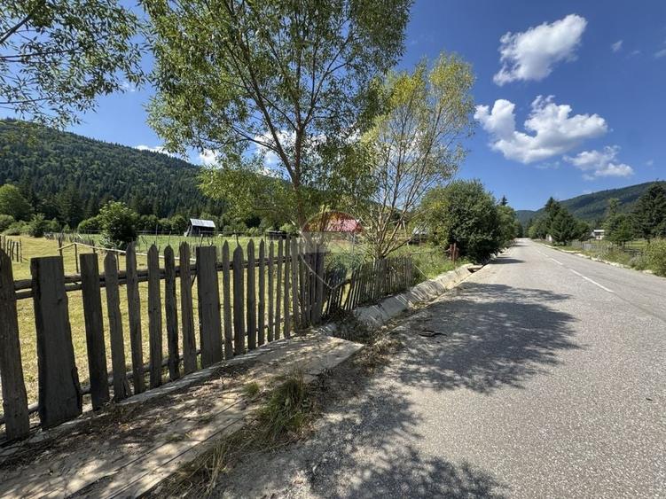 Teren Construcții intravilan de 2802 mp, în Borca