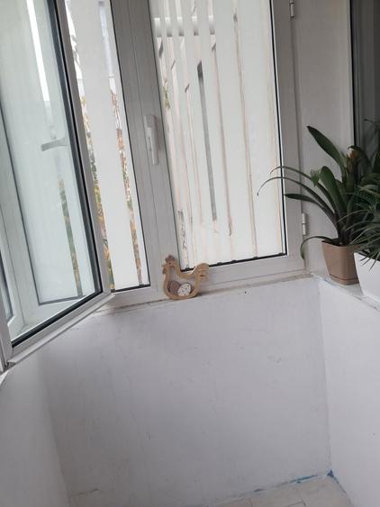 Apartament cu 2 camere semidecomandat în Alexandru cel Bun