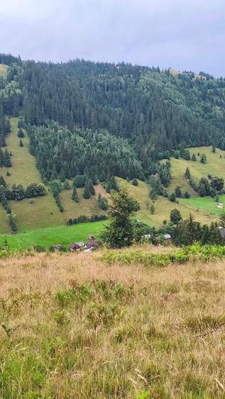 Teren de 32589 mp, în Pojorâta
