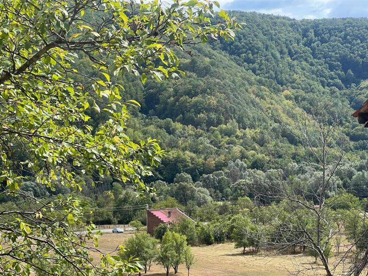 Teren Construcții intravilan de 6354 mp, în Mihăileni