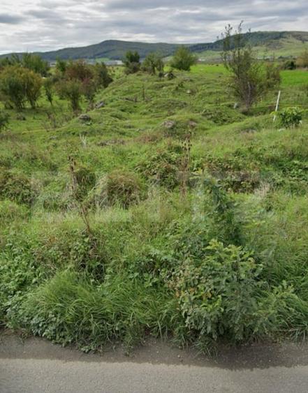 Teren Construcții intravilan de 5000 mp, în Exterior Est