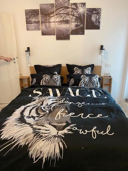 Apartament cu 2 camere, mobilat în Parcul Carol