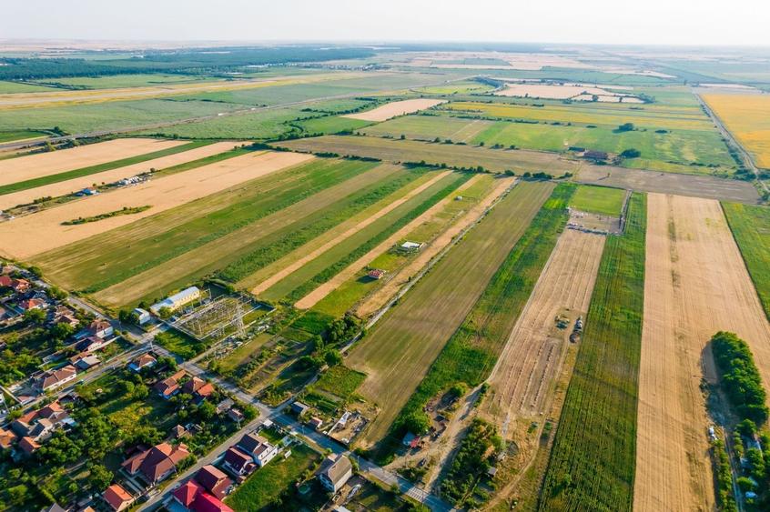 Teren agricol extravilan de 500000 mp, în Bujac