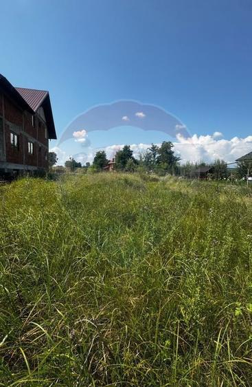 Teren de 1000 mp, în Costâna