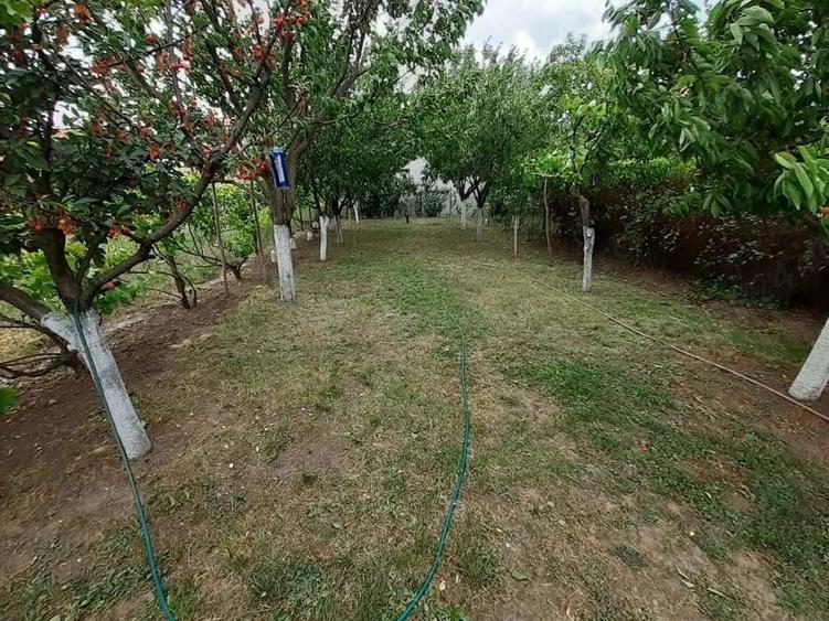 Casă în Dumbrăvița