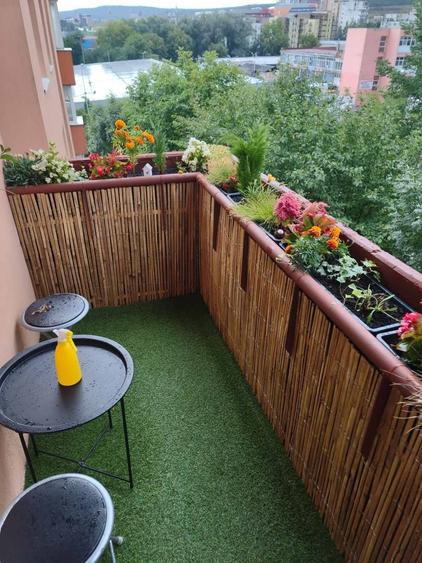 Apartament cu 2 camere decomandat în Livezeni