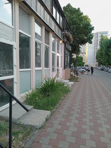 Spațiu comercial, de 17 mp, în Alexandru cel Bun