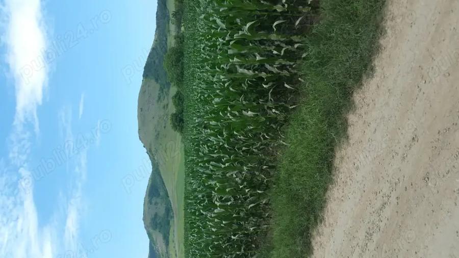 Teren de 1850 mp, în Greci