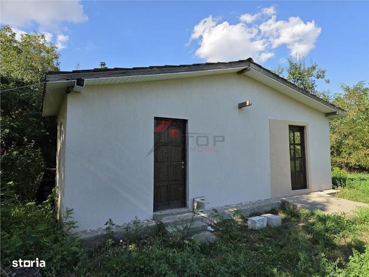 Teren 905MP - Popricani - 6