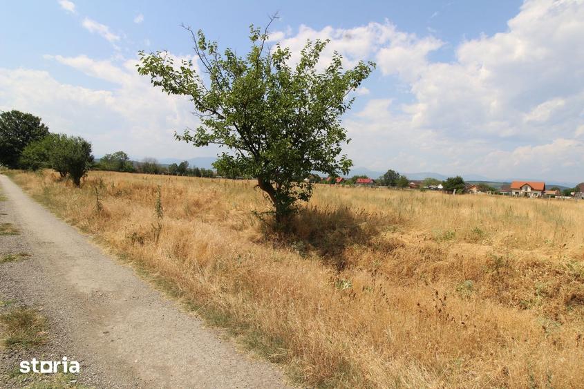 Teren extravilan 600 mp, Prelungirea Panduri - 2
