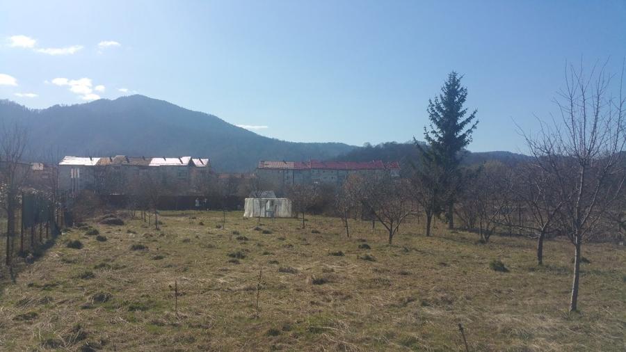 Teren Construcții intravilan de 900 mp, în Noua