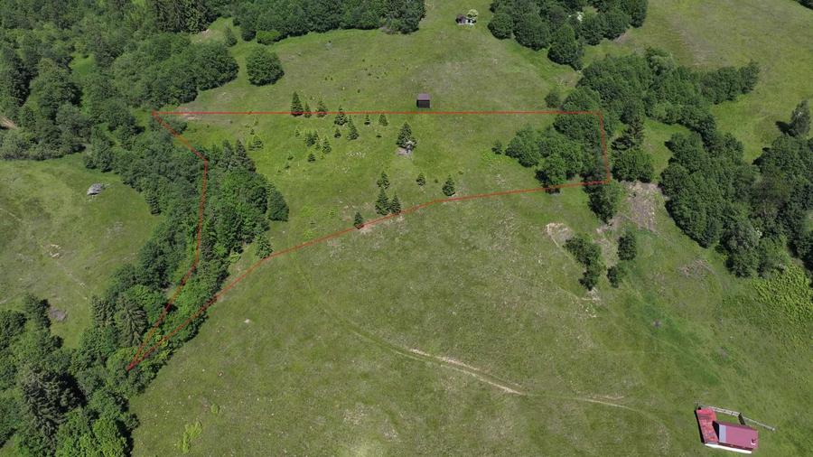 Teren extravilan 11.752 mp Zona Deia Priveliste superba Campulung Moldovenesc - 9