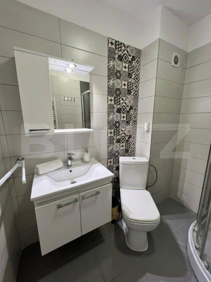 Apartament de 2 camere,  42.60 mp, mobilat si utilat modern, Calea Severinului - 12