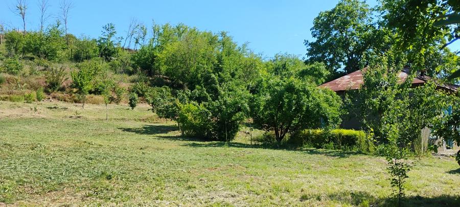 Teren Construcții intravilan de 1600 mp, în Somova