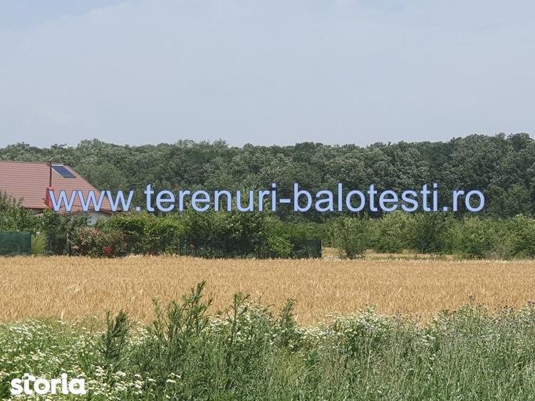 Teren de 620 mp, în Balotești