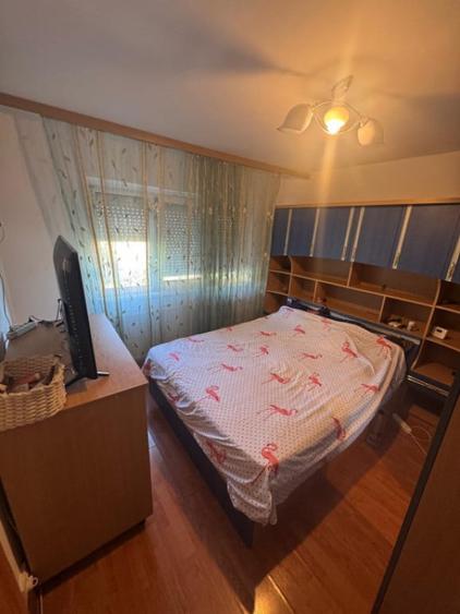 Apartament cu 2 camere decomandat în Brazda lui Novac