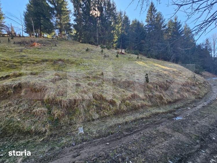 Teren de 2977 mp, în Scărișoara