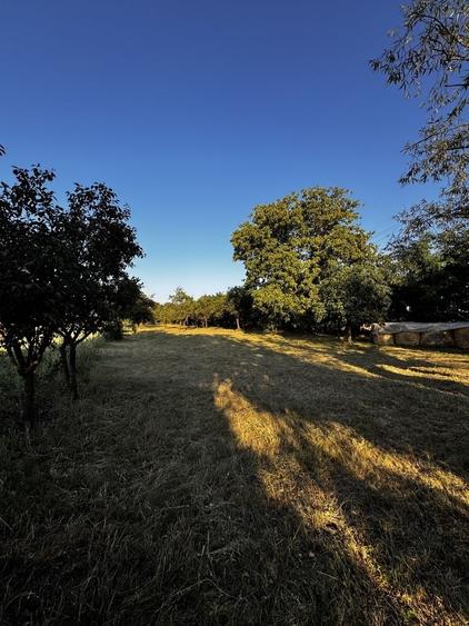 Teren de 1550 mp, în Galda de Jos