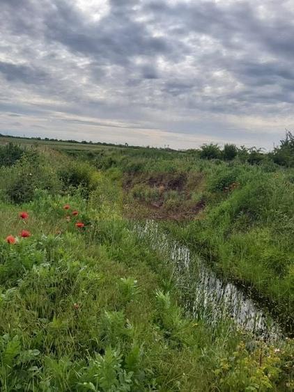 Teren agricol intravilan de 9974 mp, în Corbeanca