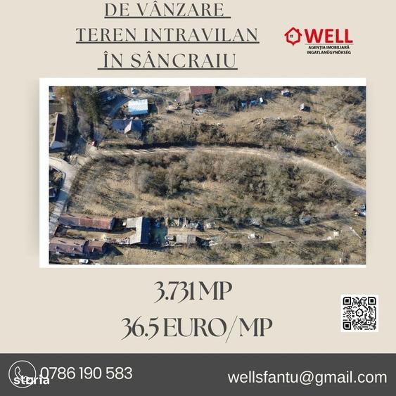 Teren intravilan de vanzare in Sancraiu! - 3