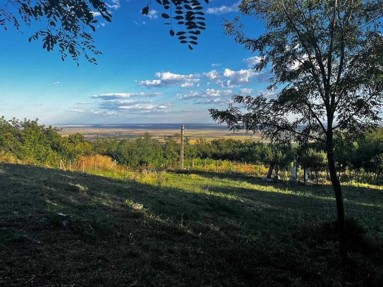 Teren de 7593 mp, în Pietroasele