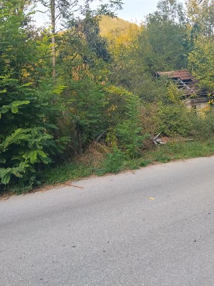 Teren Construcții intravilan de 755 mp, în Govăjdia