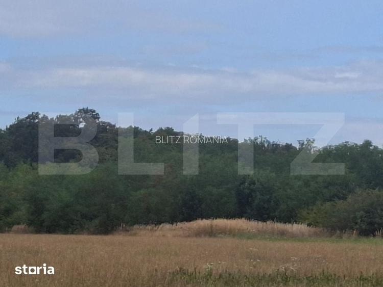 Padure de vanzare, 0,75 hectare, zona Suta Seaca