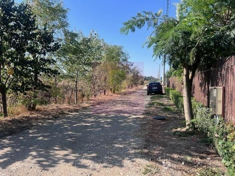 Teren Construcții intravilan de 6200 mp, în Cornetu