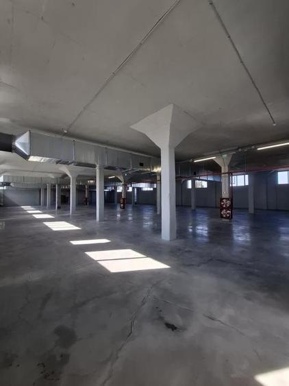 Spațiu industrial, de 492 mp, în Someșeni