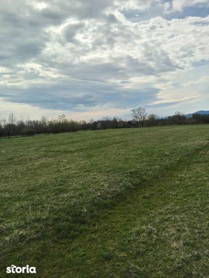 Teren de 3200 mp, în Vicovu de Sus
