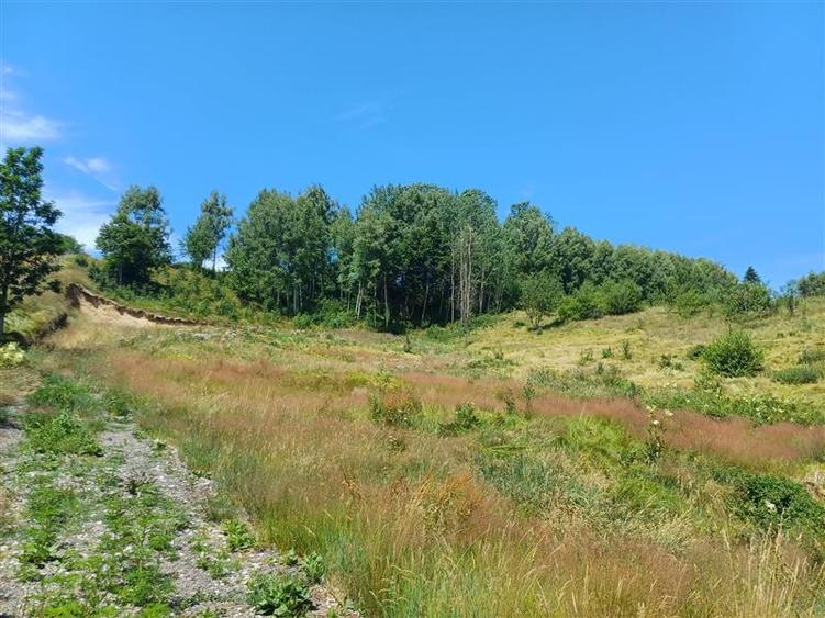 Teren Construcții intravilan de 6889 mp, în Brebu Nou