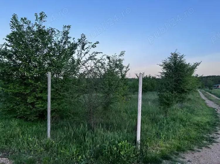 Teren de 2300 mp, în Ciolpani