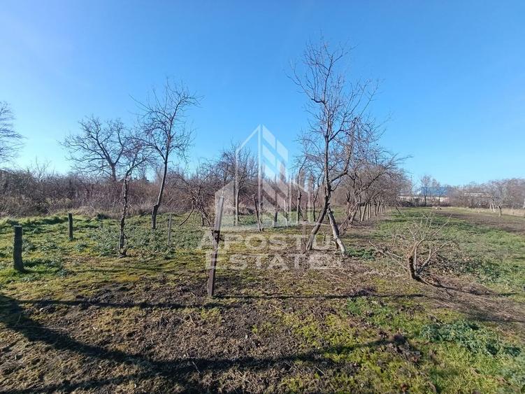 Casa individuala cu teren generos 2158mp, front 12m, liva... - 4