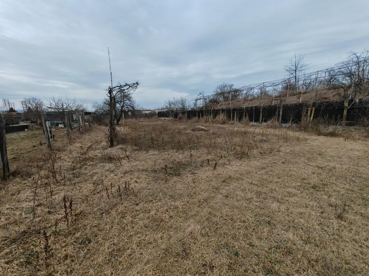 Teren Construcții intravilan de 2005 mp, în Letea
