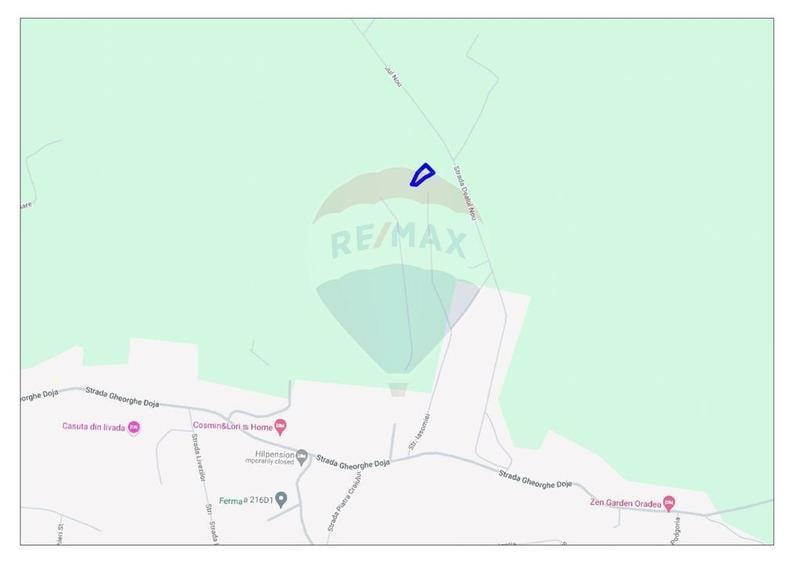 Teren agricol extravilan de 1338 mp, în Paleu