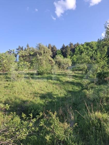 Teren Construcții extravilan de 10000 mp, în Tărlungeni