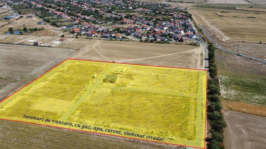 Teren Construcții intravilan de 558 mp, în Bucovăț (Remetea Mare)